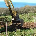 4 Digging Starts (10)